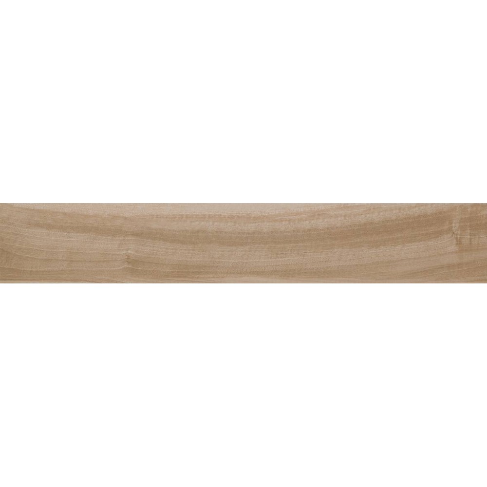 Araucaria Clara - Image 2