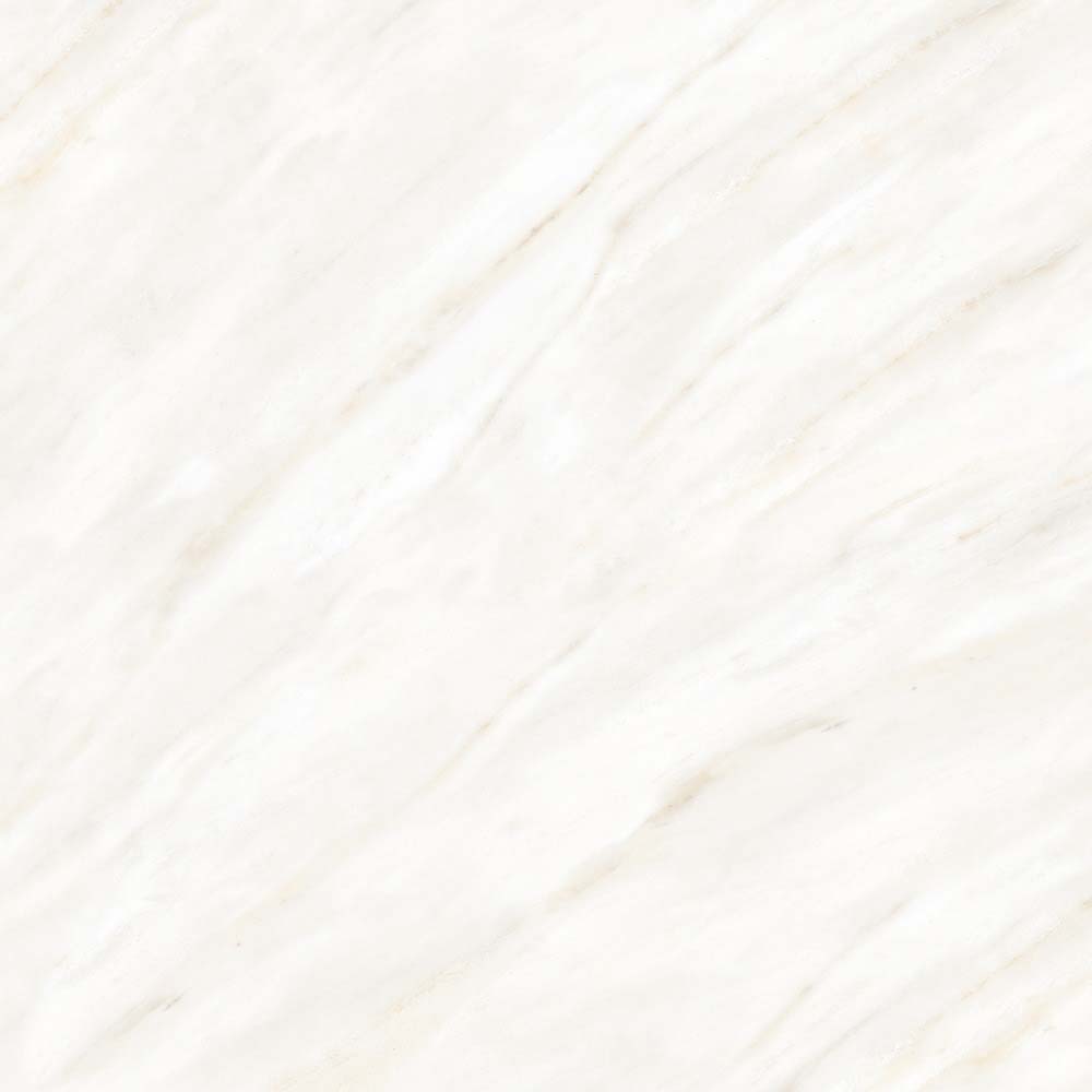 Sellier White - Image 2